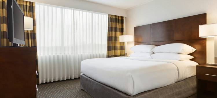 巴尔的摩华盛顿国际机场希尔顿大使套房酒店(Embassy Suites by Hilton Baltimore at BWI Airport)图片