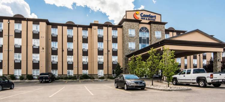 舒适套房酒店(Comfort Inn & Suites)图片