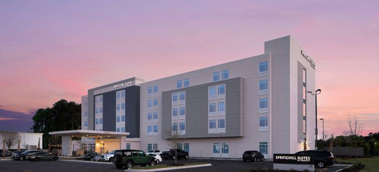 哥伦比亚近杰克逊堡万豪春丘酒店(SpringHill Suites Columbia Near Fort Jackson)图片