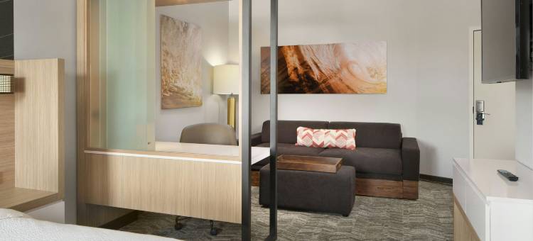 杰克逊维尔贝梅多斯SpringHill Suites酒店(SpringHill Suites Jacksonville Baymeadows)图片