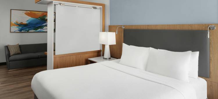 休斯顿洲际机场万豪SpringHill酒店(SpringHill Suites Houston InterContinental Airport)图片
