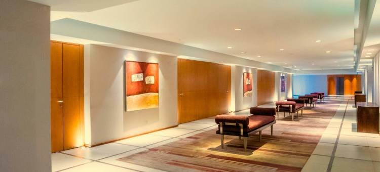 希尔顿门多萨(Hilton Mendoza)图片