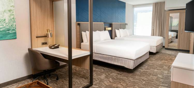 尔湾森林湖SpringHill Suites套房酒店(SpringHill Suites Irvine Lake Forest)图片