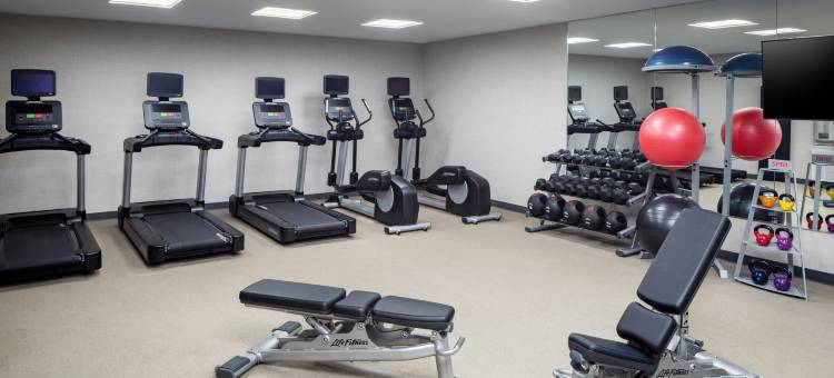 纽约JFK机场/杰梅卡SpringHill Suites酒店(SpringHill Suites by Marriott New York JFK Airport/Jamaica)图片