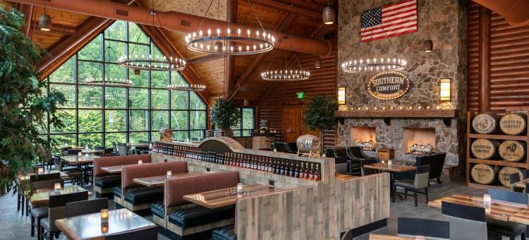 西门大烟山水疗度假村(Westgate Smoky Mountain Resort & Spa)图片