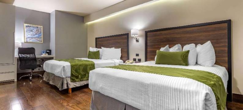 凯艺酒店-三藩市奇瓦瓦(Quality Inn Chihuahua San Francisco)图片