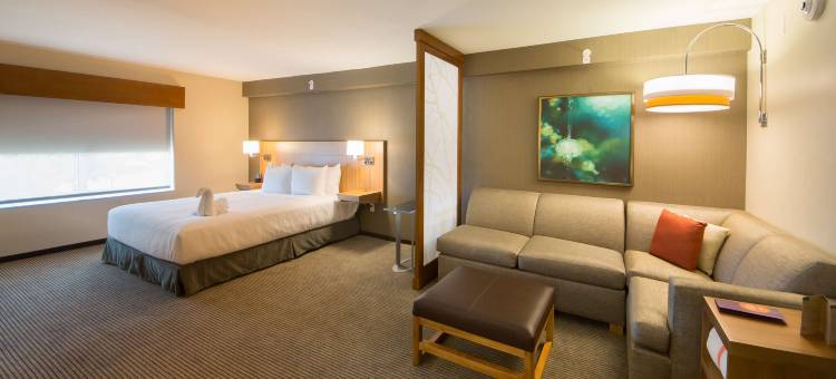 凯悦嘉轩奥兰多布埃纳维斯塔湖(Hyatt Place Orlando Lake Buena Vista)图片