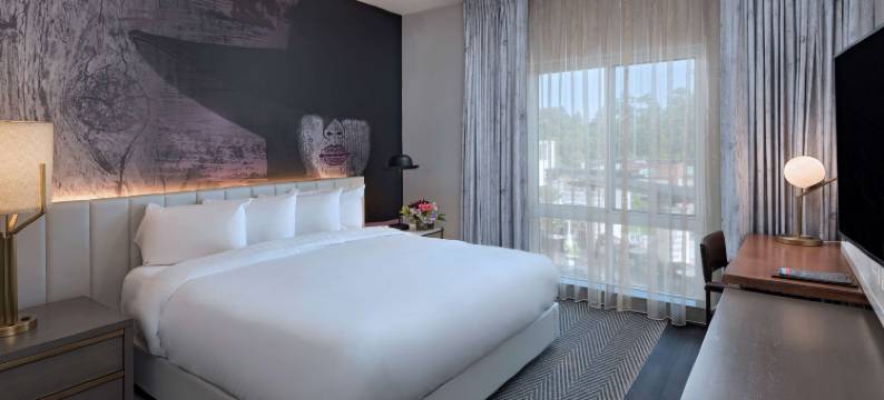 伍德兰斯凯悦尚萃酒店(Hyatt Centric the Woodlands)图片