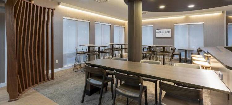 罗切斯特梅奥医学中心／圣玛丽医院万豪SpringHill酒店(SpringHill Suites Rochester Mayo Clinic Area/Saint Marys)图片
