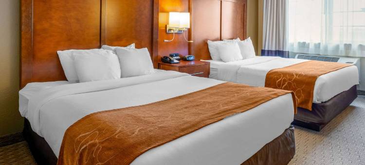 伯灵顿舒适套房酒店(Comfort Suites Burlington)图片