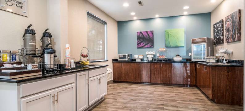 舒眠套房酒店-肯纳瑟州立大学(Sleep Inn & Suites at Kennesaw State University)图片