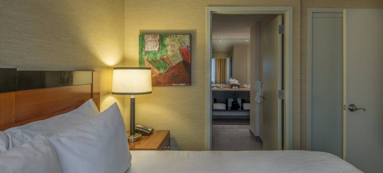 里根国家机场希尔顿花园酒店(Hilton Garden Inn Reagan National Airport)图片