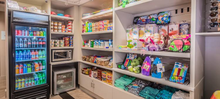 Holiday Inn Express ORANGE海滩上海滩(Holiday Inn Express Orange Beach-on the Beach)图片