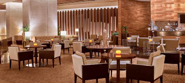古赖尔瑞士酒店(Swissôtel Al Ghurair)图片