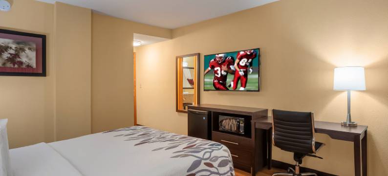 狄蒙因红屋顶酒店(Red Roof Inn Des Moines)图片