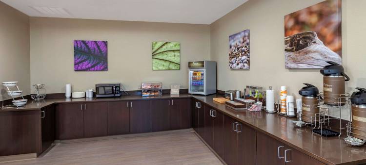 舒眠套房酒店(Sleep Inn & Suites)图片