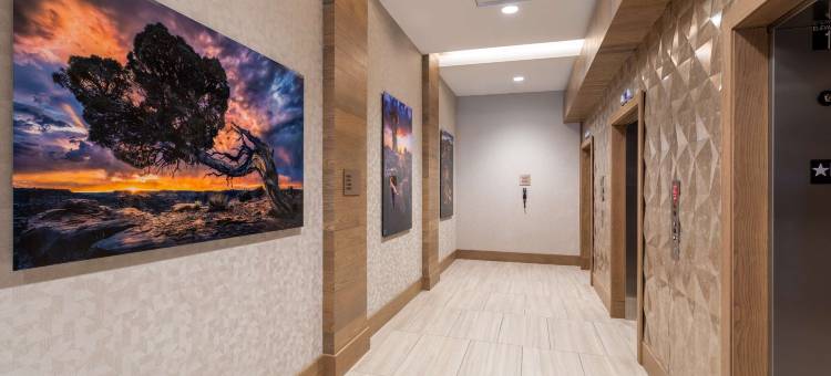 新墨西哥州阿尔伯克基市中心希尔顿花园酒店(Hilton Garden Inn Albuquerque Downtown)图片
