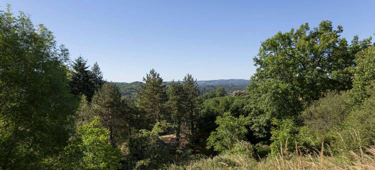 蒂勒原生酒店(The Originals Access, Hôtel Tulle)图片