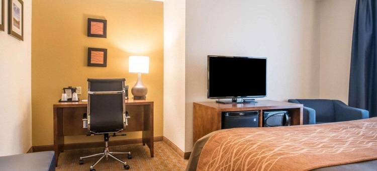 布拉特尔伯勒 I-91 舒适套房酒店(Comfort Inn & Suites Brattleboro I-91)图片