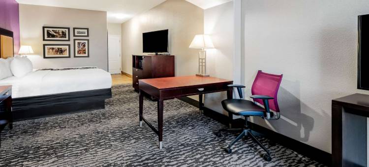 贝德福德DFW机场西拉昆塔温德姆套房酒店(La Quinta Inn & Suites by Wyndham DFW Airport West - Bedford)图片