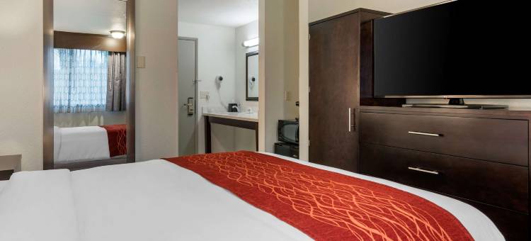 蒂加德-近华盛顿广场舒适套房酒店(Comfort Inn & Suites Tigard Near Washington Square)图片