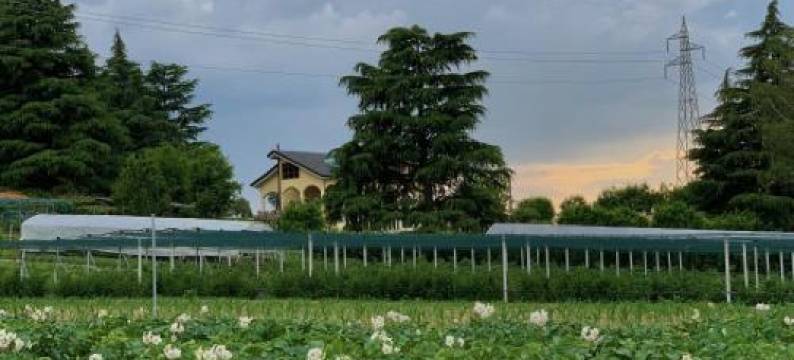 阿拉罗杰塔住宿加早餐旅馆(B&B Alla Roggetta)图片