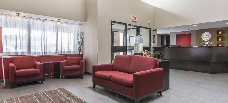 蒂明斯舒适酒店(Comfort Inn Timmins)图片
