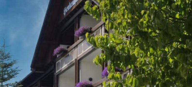 Landhotel Henkenhof Willingen图片