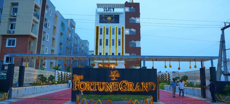 塔德帕利斯里财富大酒店(Sree Fortune Grand, Tadepalli)图片
