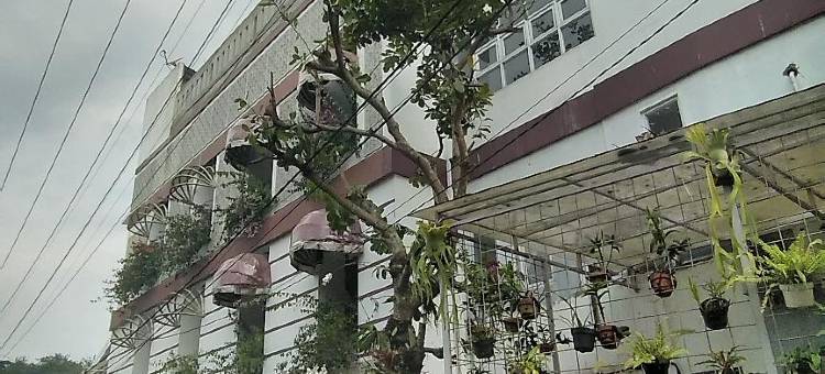 DHD伊斯兰旅馆(Dhd Guest House Syariah)图片