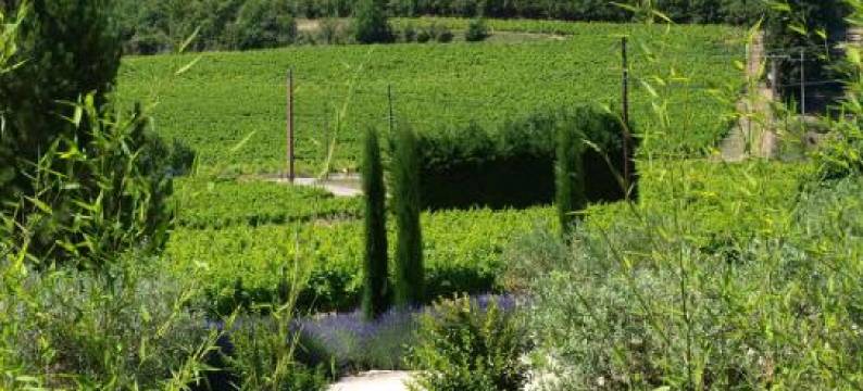 旧花园住宿加早餐旅馆(Jardin d'Antan)图片
