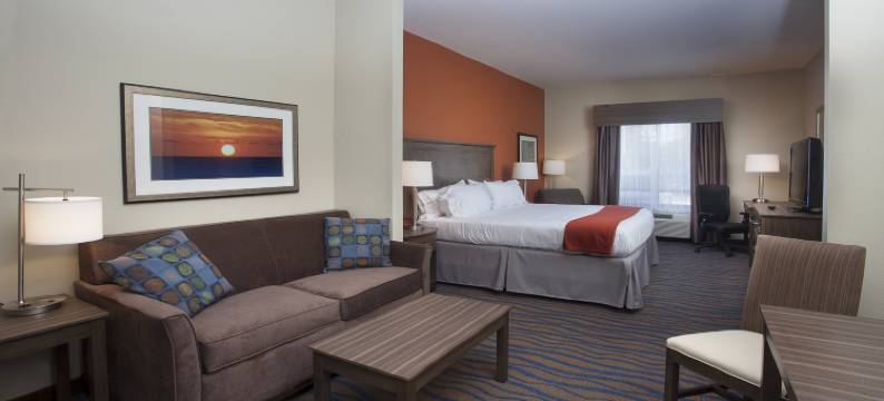 摩根城小虎岛智选假日酒店(Holiday Inn Express & Suites MORGAN CITY - TIGER ISLAND by IHG)图片