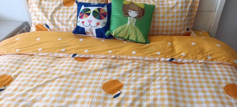 艺馨爱民宿(太平街分店)图片