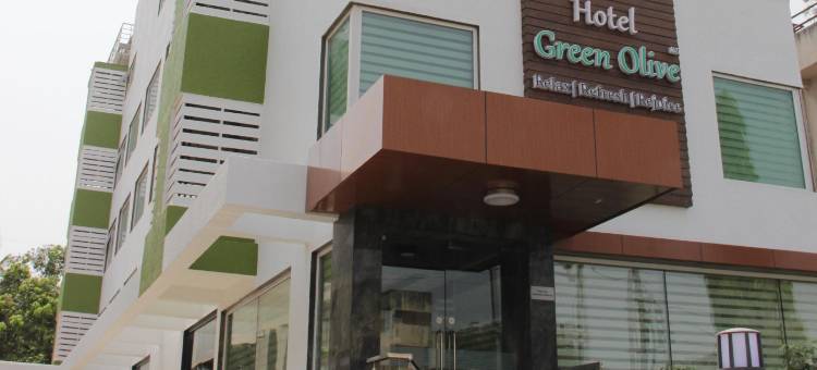 绿橄榄酒店(Hotel Green Olive)图片