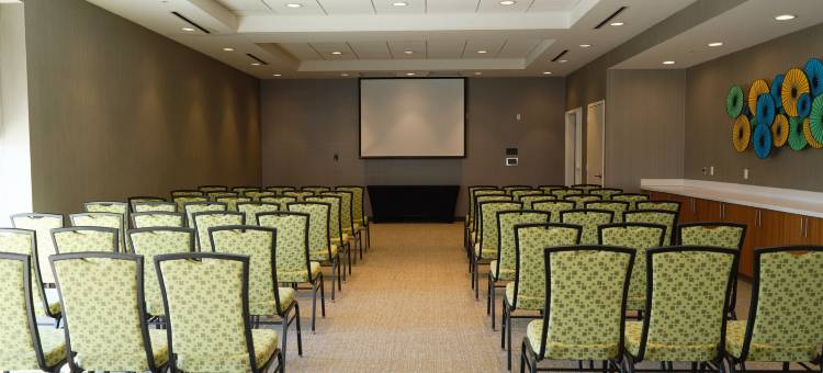 达拉斯路易斯维尔万豪SpringHill Suites 酒店(SpringHill Suites Dallas Lewisville)图片