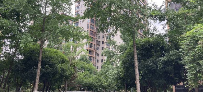 高盛澧园民宿(大庸路分店)图片