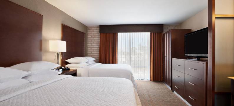 科珀斯克里斯蒂希尔顿安泊酒店(Embassy Suites by Hilton Corpus Christi)图片