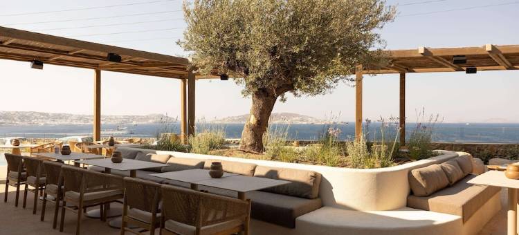 诺鲁兹圆顶米科诺斯(限成人)(Domes Noruz Mykonos - Adults Only)图片