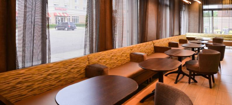 罗穆勒斯底特律都会机场万豪SpringHill酒店(SpringHill Suites Detroit Metro Airport Romulus)图片