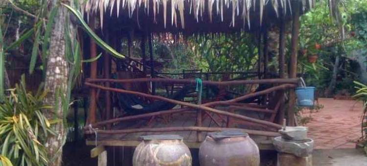 蔡生果园旅馆(CAI Son Orchard Home Stay)图片