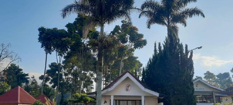 Cemara Tujuh Homestay & Resto图片