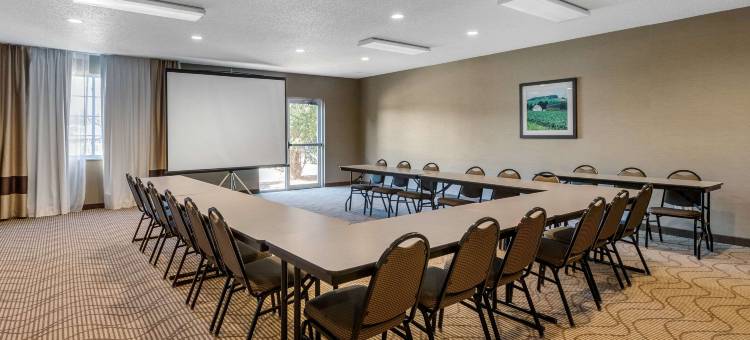 舒适套房酒店(Comfort Suites)图片