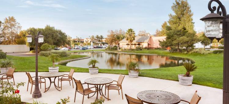 蒂梅丘拉谷葡萄酒乡安泊套房酒店(Embassy Suites by Hilton Temecula Valley Wine Country)图片