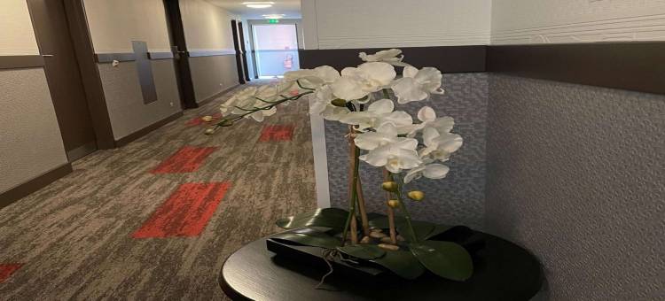 里摩北基里亚德直营酒店(Kyriad Direct Limoges Nord)图片