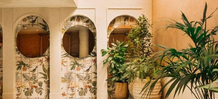 布鲁姆豪斯酒店与水疗中心(Bloom House Hôtel & SPA)图片