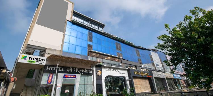 Itsy Hotels Shree Krishna 宫殿(Itsy Hotels Shree Krishna Palace)图片