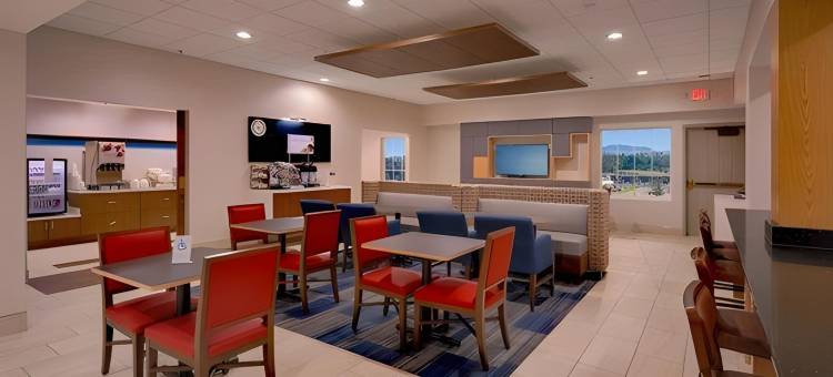 洲际酒店集团智选假日套房鸽子谷塞维尔维尔(Holiday Inn Express & Suites Pigeon Forge - Sevierville)图片