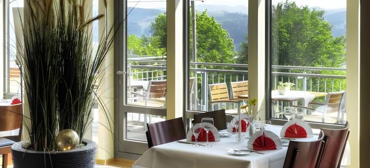 菲尼克斯酒店(Phönix Hotel)图片