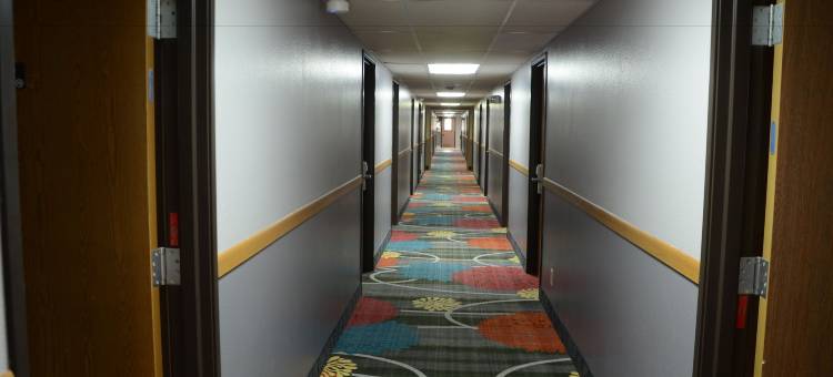 森特维尔温德姆速8酒店(Super 8 by Wyndham Centerville)图片