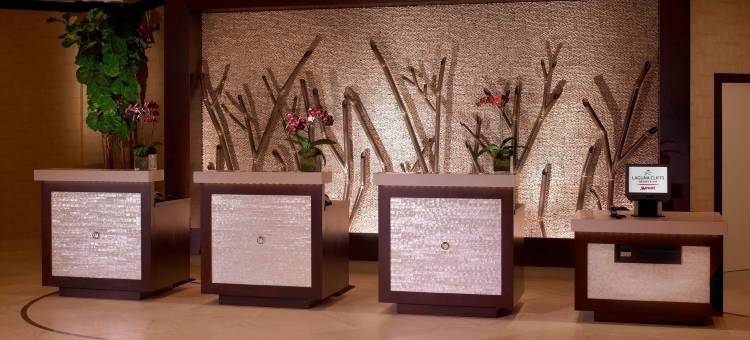 拉古娜崖万豪水疗度假酒店(Laguna Cliffs Marriott Resort & Spa)图片